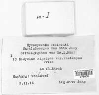 Image Associated With the Occurence